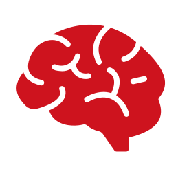 cerebro (1)